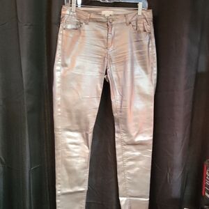 ANTHROPOLGY INTROPIA Metallic Women Jeans